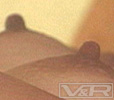 VRTM-436